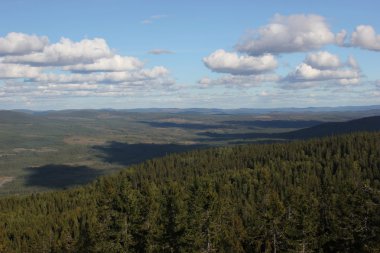 Roeknoelen görünümünden