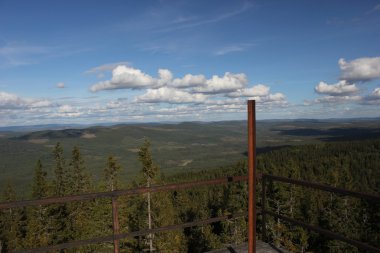 Roeknoelen görünümünden