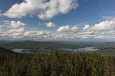 Roeknoelen görünümünden