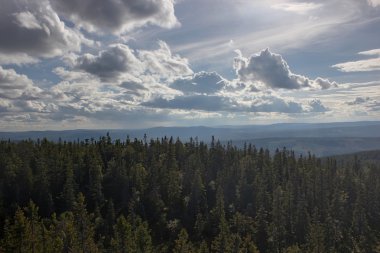 Roeknoelen görünümünden