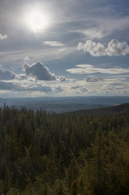 Roeknoelen görünümünden