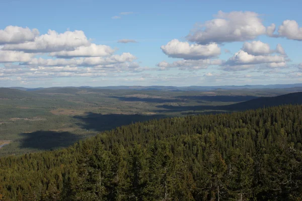 Roeknoelen görünümünden