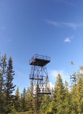 Roeknoelen platformu