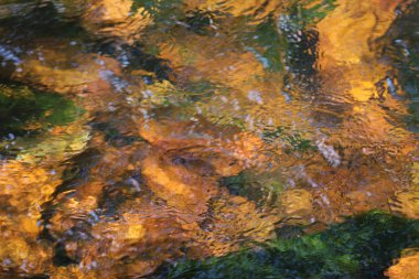 Taşlı bir nehir suya bak