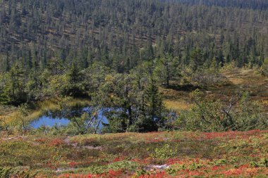 Hoegfjaellet dağ gölü