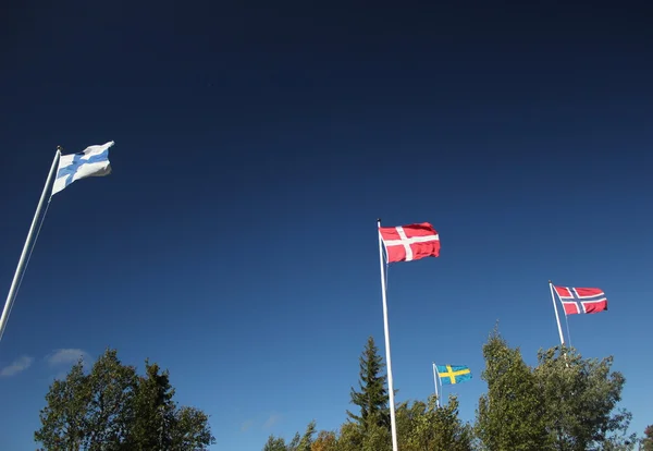 Северные флаги на темно-синем небе — стоковое фото