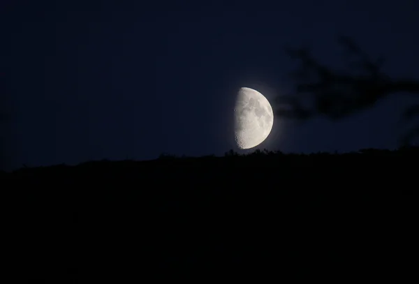 Luna su blu — Foto Stock