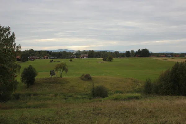 Dalarna manzarada çayır