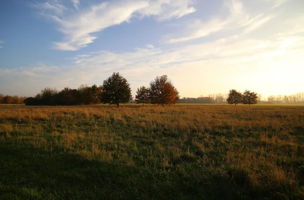 Paisaje rural en Mecklemburgo-Vorpommern —  Fotos de Stock