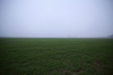 Sis ile düz çim Sahası