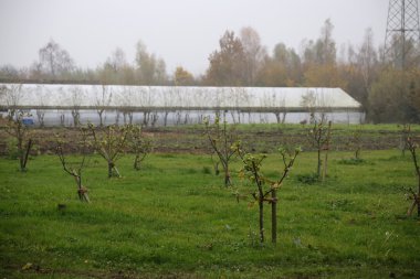 Arka planda bina ile meyve bahçesi