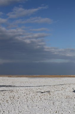 Karrendorfer Wiesen kış peyzaj