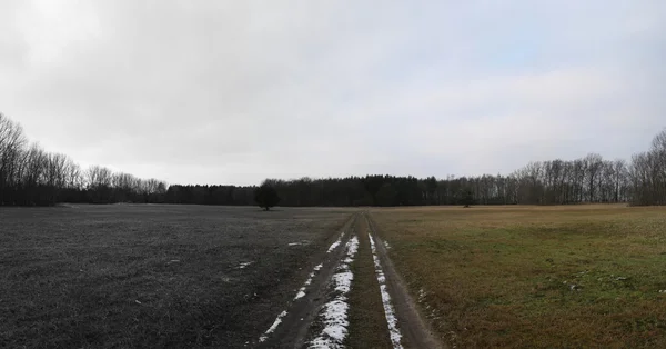 Vinter äng med svart och vitt övergång — Stockfoto