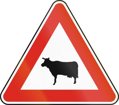 Slovakya - sığır kullanılan yol işaret crossing