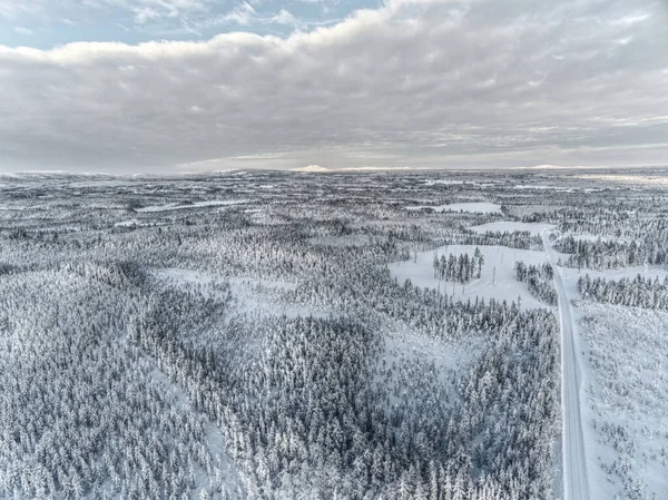 Drone shot of Swedish forest and road in winter.