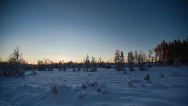Der Kürzeste Tag Schwedisch Lappland — Stockvideo