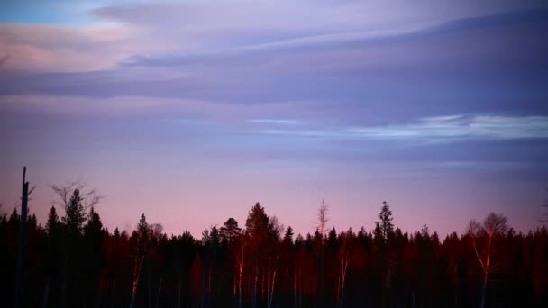 Time Lapse Nuages Coucher Soleil Colorés Sur Forêt — Video