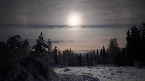 Temps Écoulé Entre Lune Brillante Les Nuages Sur Prairie Hivernale — Video