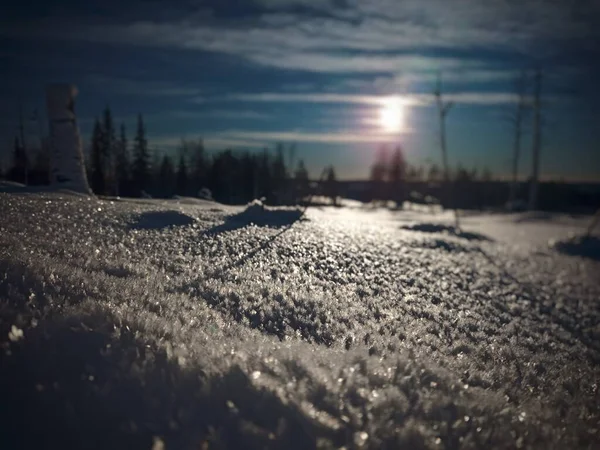 Кристаллы Льда Солнечном Свете Севере Швеции — стоковое фото