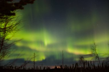 Bright green northern lights over Swedish Lapland. clipart