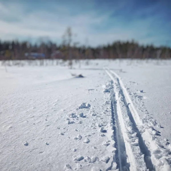 スウェーデンのラップランドで新雪の中でスキートラック — ストック写真