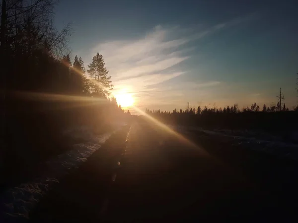 阳光照射在森林轮廓和道路上 — 图库照片