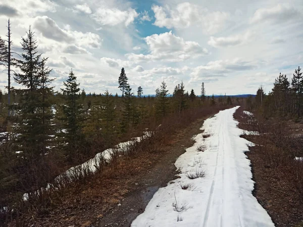 Melting snow on a small road in Swedish Lapland.