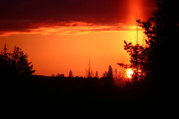 Sonnensäule Und Orangefarbener Himmel Mit Waldsilhouette — Stockfoto