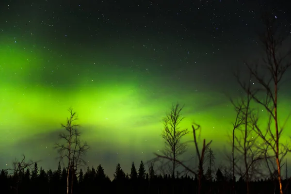 Nordlichter Und Wolken Nordschweden — Stockfoto