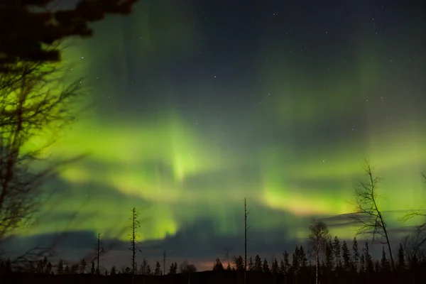 Leuchtend Grüne Nordlichter Über Schwedisch Lappland — Stockfoto