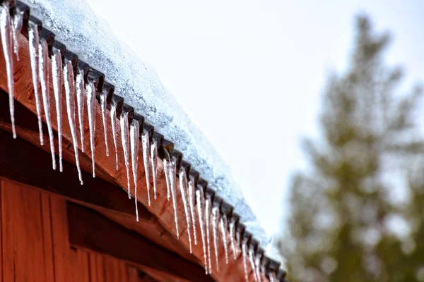 Icicles Uma Borda Telhado Casa Sueca — Fotografia de Stock