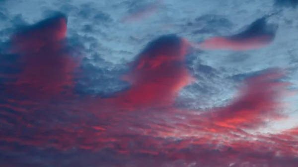 Beautiful Fluffy Dusk Clouds Pink Blue — Stock Photo, Image