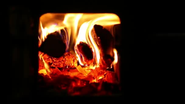 Loopable Clip Burning Firewood Stove — Stock Video