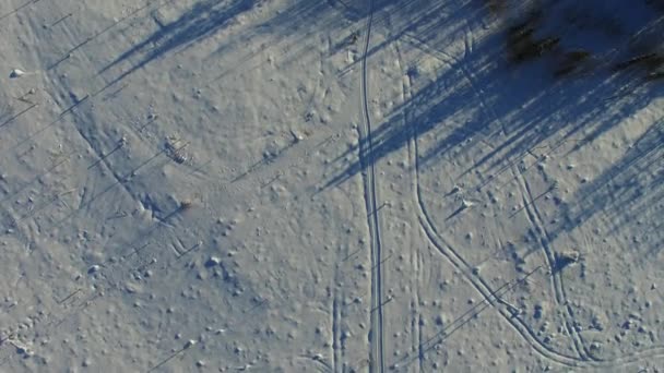 Flug Über Die Winterlandschaft Schwedisch Lappland — Stockvideo