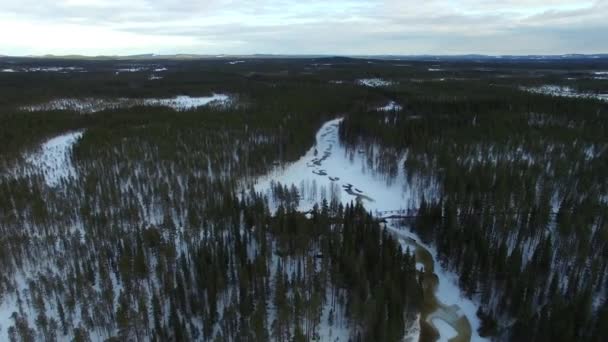 Voo Sobre Pequeno Fluxo Congelado Petikan Lapônia Sueca — Vídeo de Stock