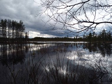 İsveç 'te küçük bir gölün yüksek kontrastlı görüntüsü.