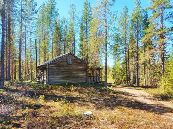 Egy Régi Faház Svéd Erdőben — Stock Fotó