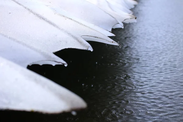 Borda Uma Geleira Degelo Lago — Fotografia de Stock