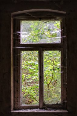 Eski ahşap pencere, örümcek ağları ve toz tabakalarının arasından görülebilen ormanlarla kaplı..