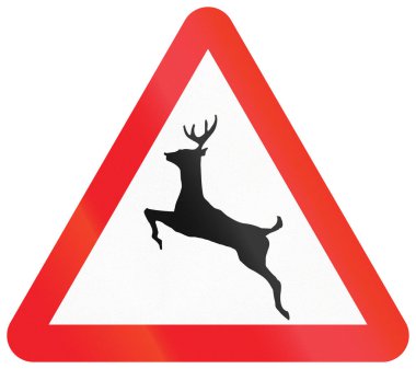 Hindistan 'da yol işareti - Vahşi hayvan.