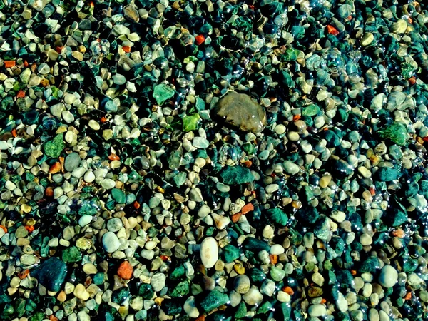 Caillou de rivière coloré dans l'eau — Photo