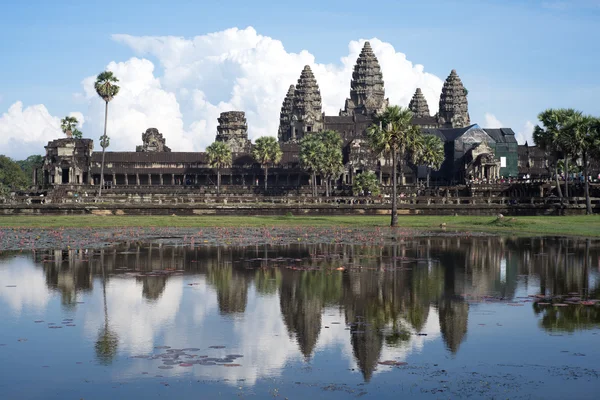 Angkor wat a reflex ve vodě — Stock fotografie