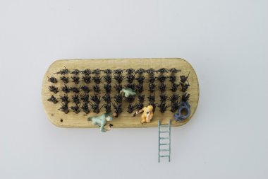 Erkekler minyatür ile Shoebrush