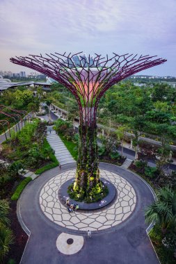 Bahçe tarafından defne Singapur