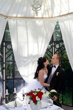 Güzel düğün çifti sarılma