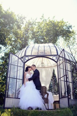 Parkta sarılma Düğün çifti