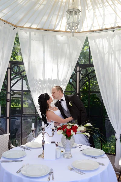 Güzel düğün çifti sarılma