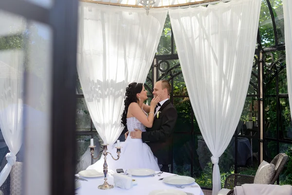 Güzel düğün çifti sarılma