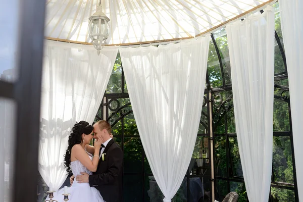 Güzel düğün çifti sarılma