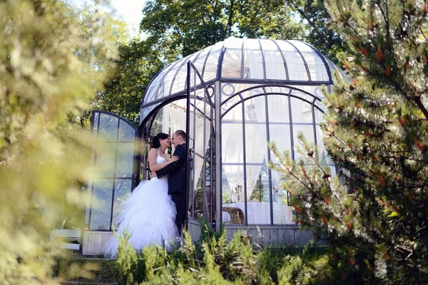 Casamento casal abraçando no parque — Fotografia de Stock